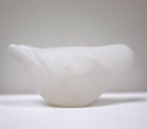white bird by siobhan morison