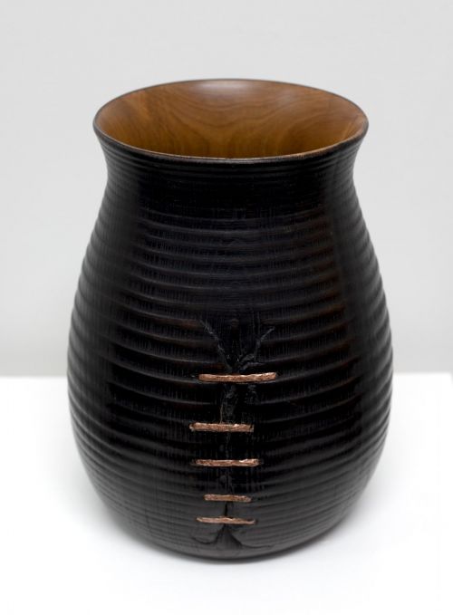 1891 Wych Elm from Fuinary, Morvern | John Hodgson