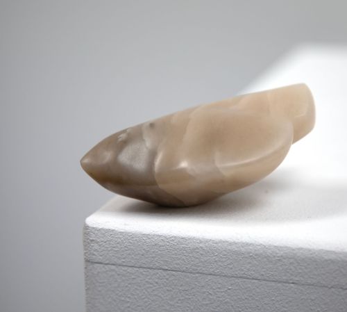 a bird in the hand by siobhan morison