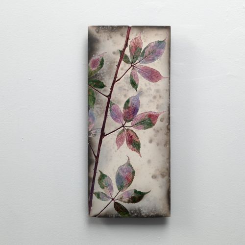 climbing bramble II by helen michie