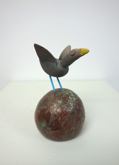 Bird With Wings Open Blue Legs | Chris Barnes
