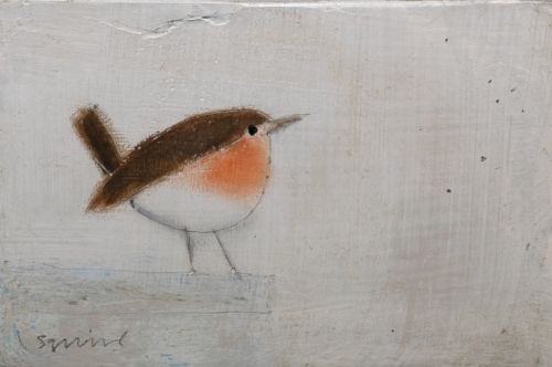 Robin | Andrew Squire