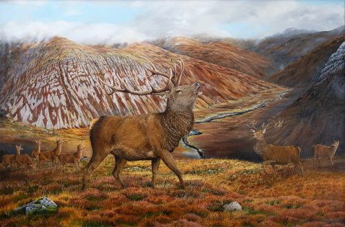 the young pretender by colin woolf