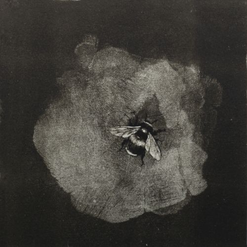 Bumblebee i | Lucy Gray