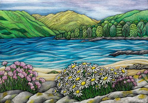 wild flowers at ardnastang by jennifer guest