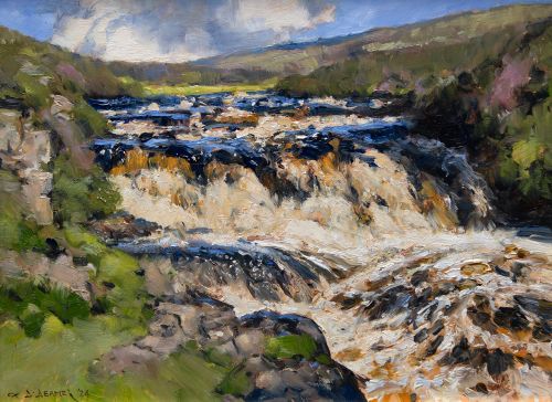after the rain by david deamer