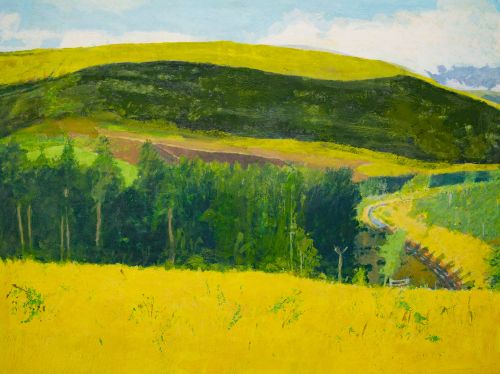 strathdon study by david greenall
