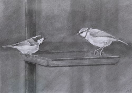 stand off by Siobhan Morison