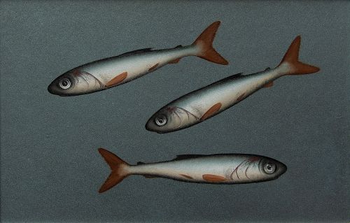 three on light green by donald provan