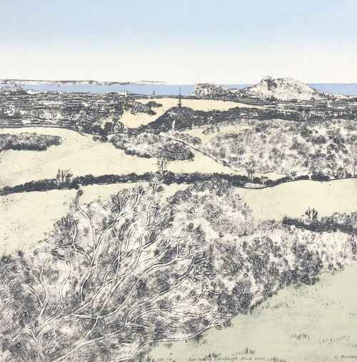 overlooking edinburgh, braid hills by gillian murray