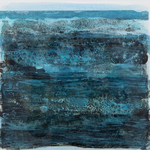 littoral zone by jane rushton