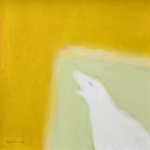howl by andrew squire