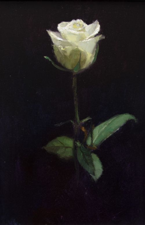 white by andrew sinclair