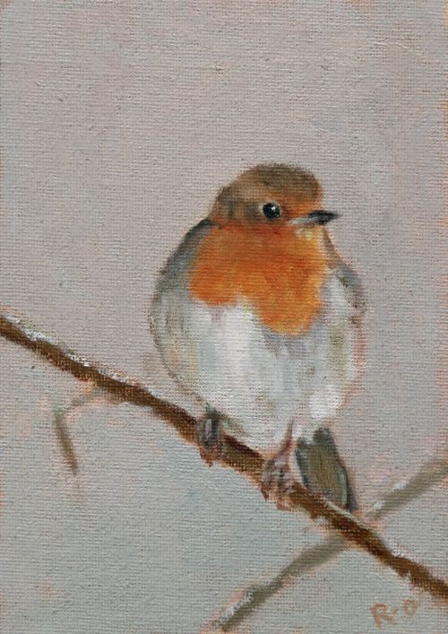 robin ii by ruth o'dell