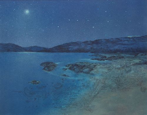 the wonders of life by anna bussot