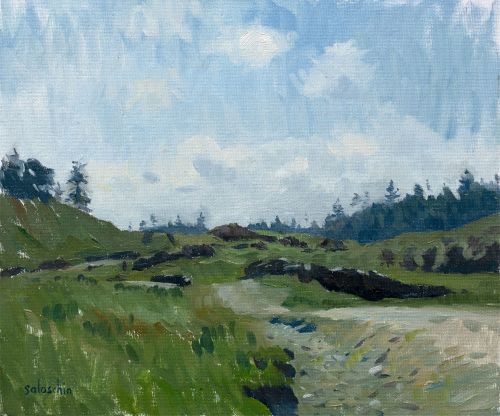 towards glen moidart by hugo saloschin