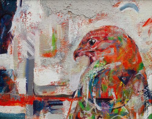 Shona Beag Buzzard | Rob Fairley