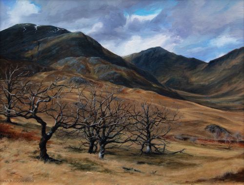 garbh beinn & coire an lubhair, ardgour by niall logan