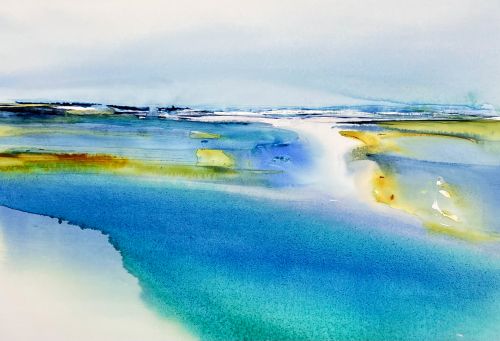 cowries by stephen redpath