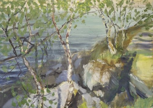 silver walk, ardnamurchan by rose strang