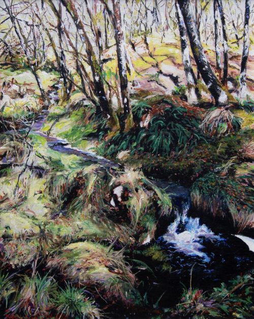 ariundle woods by niall logan