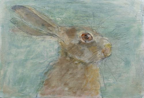 mountain hare by Joyce gunn cairns mbe