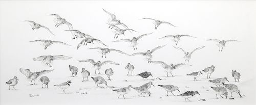 knot feeding by colin woolf
