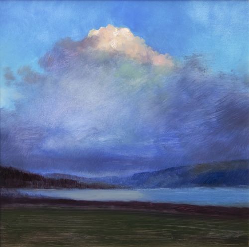 evening light by andrew sinclair