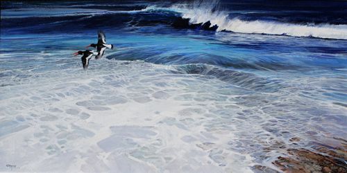 Oyster Catchers | Alan B Hayman