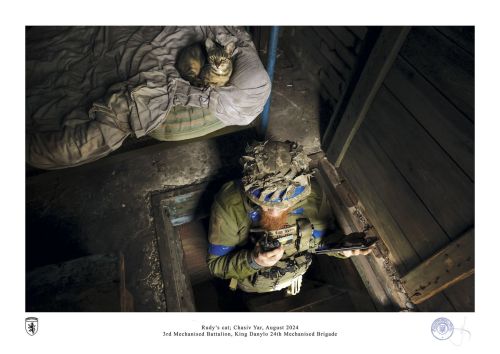 Rudy’s cat; Chasiv Yar, August 2024 by oleg petrasiuk