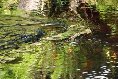 glen moidart: river moidart by nigel mcmillan