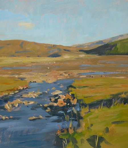 evening, looking across kinlochmoidart by hugo saloschin
