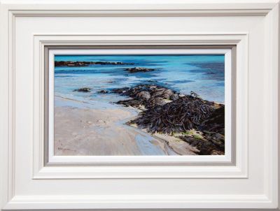 iona beach by alan b hayman