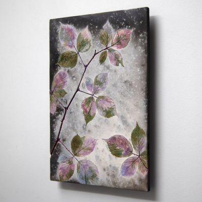 twilight bramble by helen michie