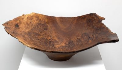 1893 Burr Oak from Morvern | John Hodgson
