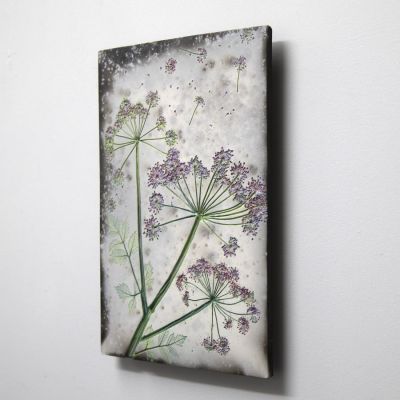 cow parsley trio by helen michie