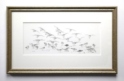 knot feeding by colin woolf