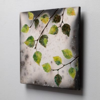 birch greens by helen michie