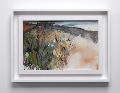 the sea meadow by morag young
