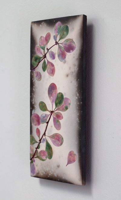 Berberis Heart | Helen Michie