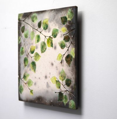 summer birch leaves I by helen michie