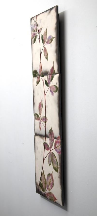 climbing pink bramble II by helen michie
