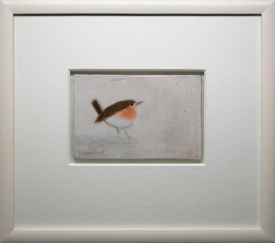 Robin | Andrew Squire