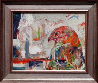 Shona Beag Buzzard | Rob Fairley