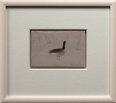 Greylag | Andrew Squire