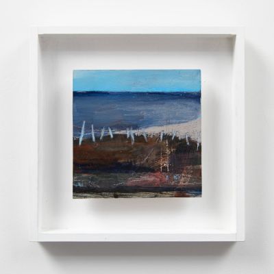 west coast shoreline by morag young