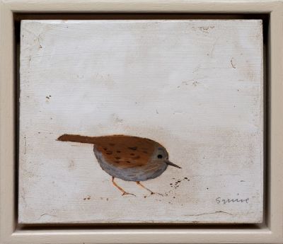 dunnock | andrew squire
