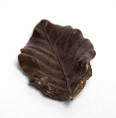 large beech leaf by siobhan morison
