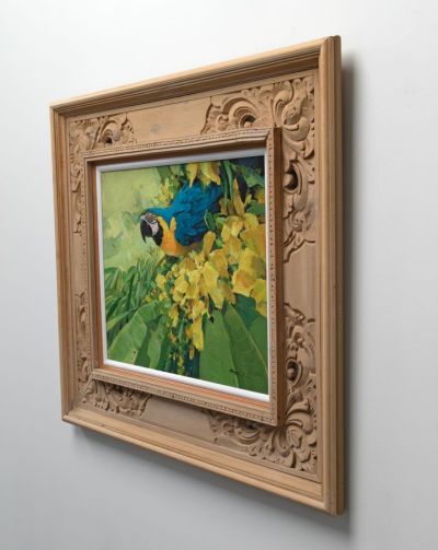 blue and gold macaw by Alan B Hayman