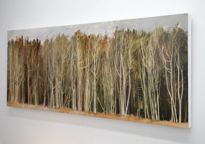 In the Clearing, Duns Wood | Anna King